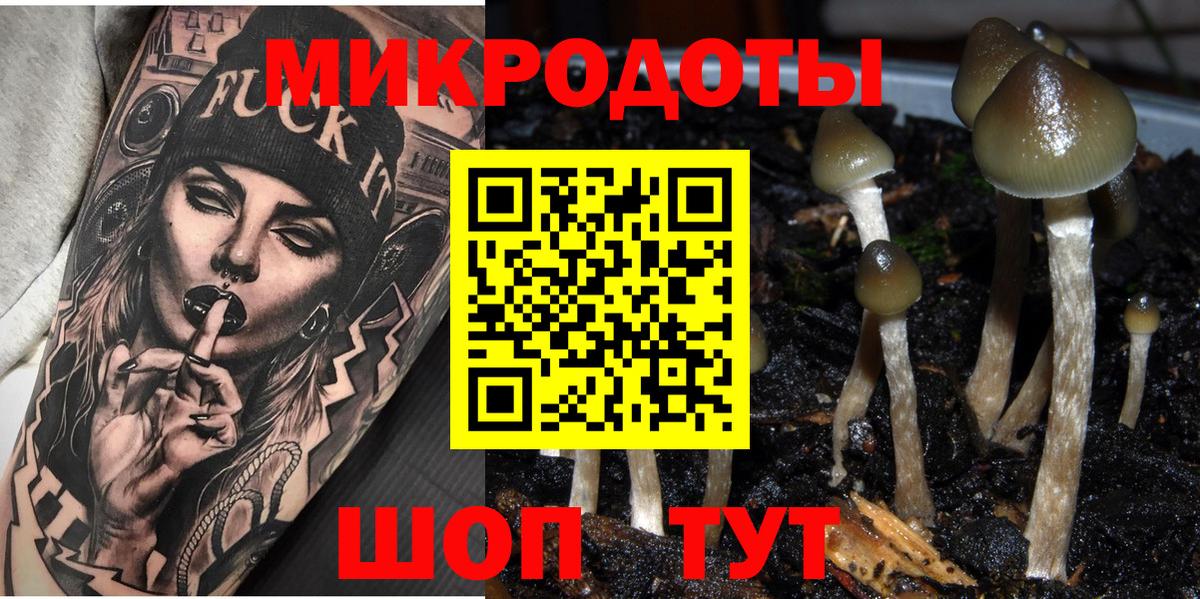 Волоколамск  Галлюциногенные грибы Cubensis  Вход с VPN 